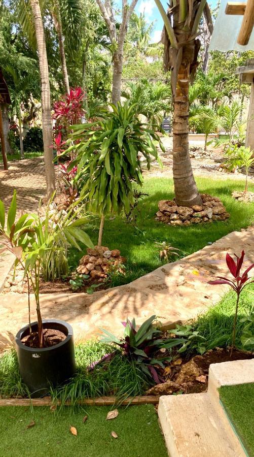 Green Paradise Leona Vicario Luaran gambar