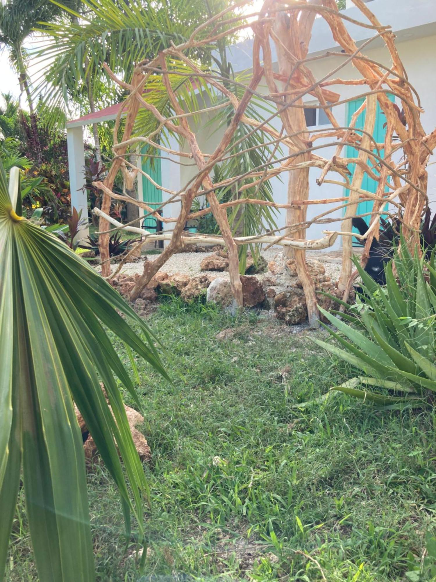 Green Paradise Leona Vicario Luaran gambar