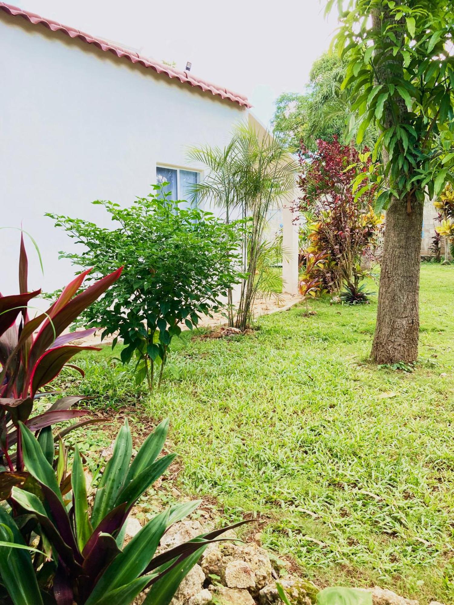 Green Paradise Leona Vicario Luaran gambar