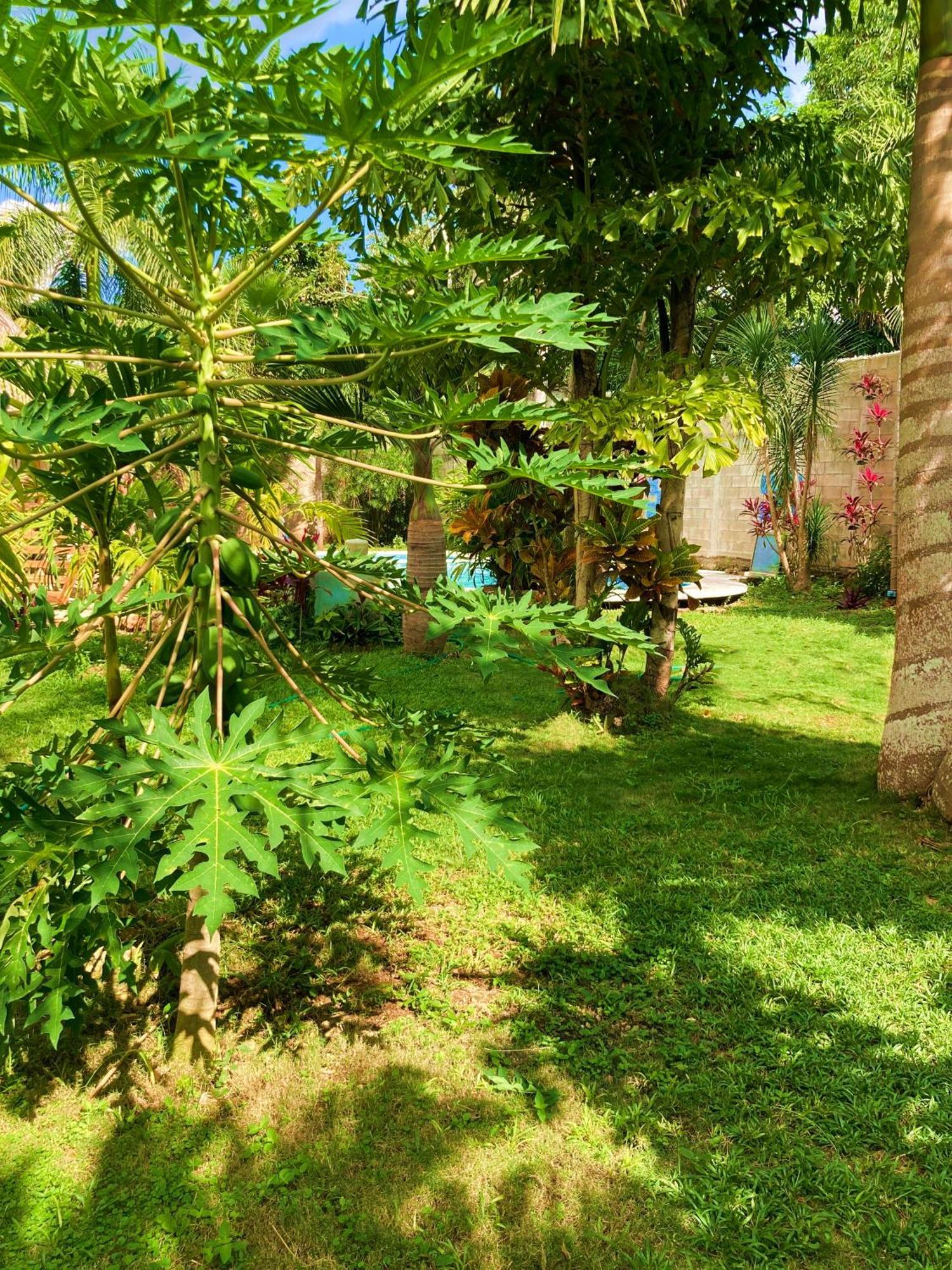 Green Paradise Leona Vicario Luaran gambar
