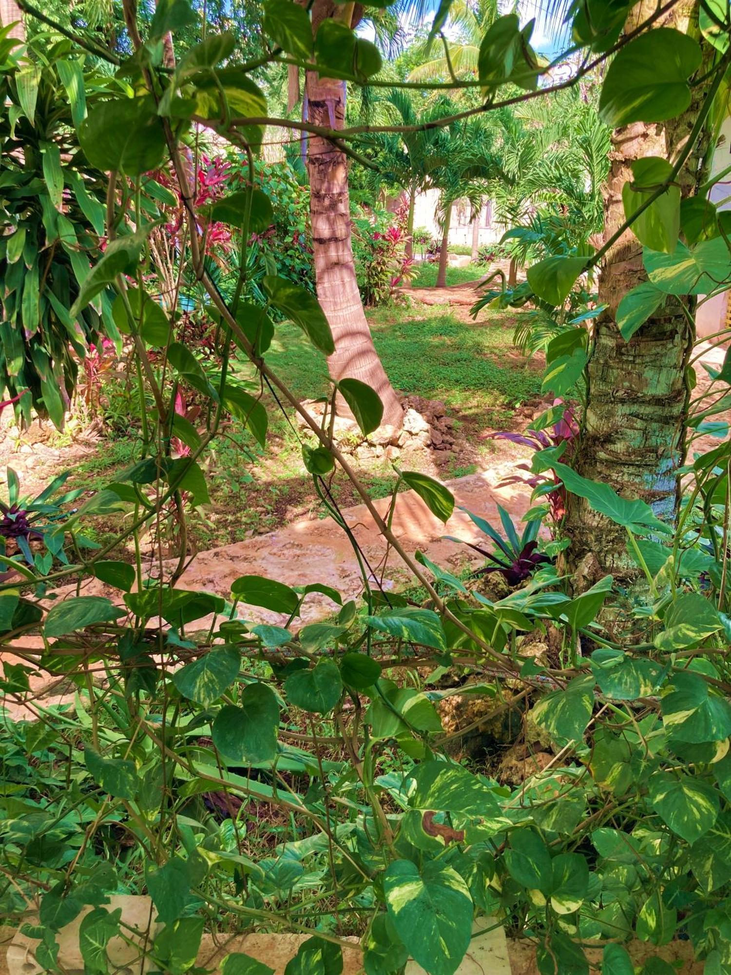 Green Paradise Leona Vicario Luaran gambar