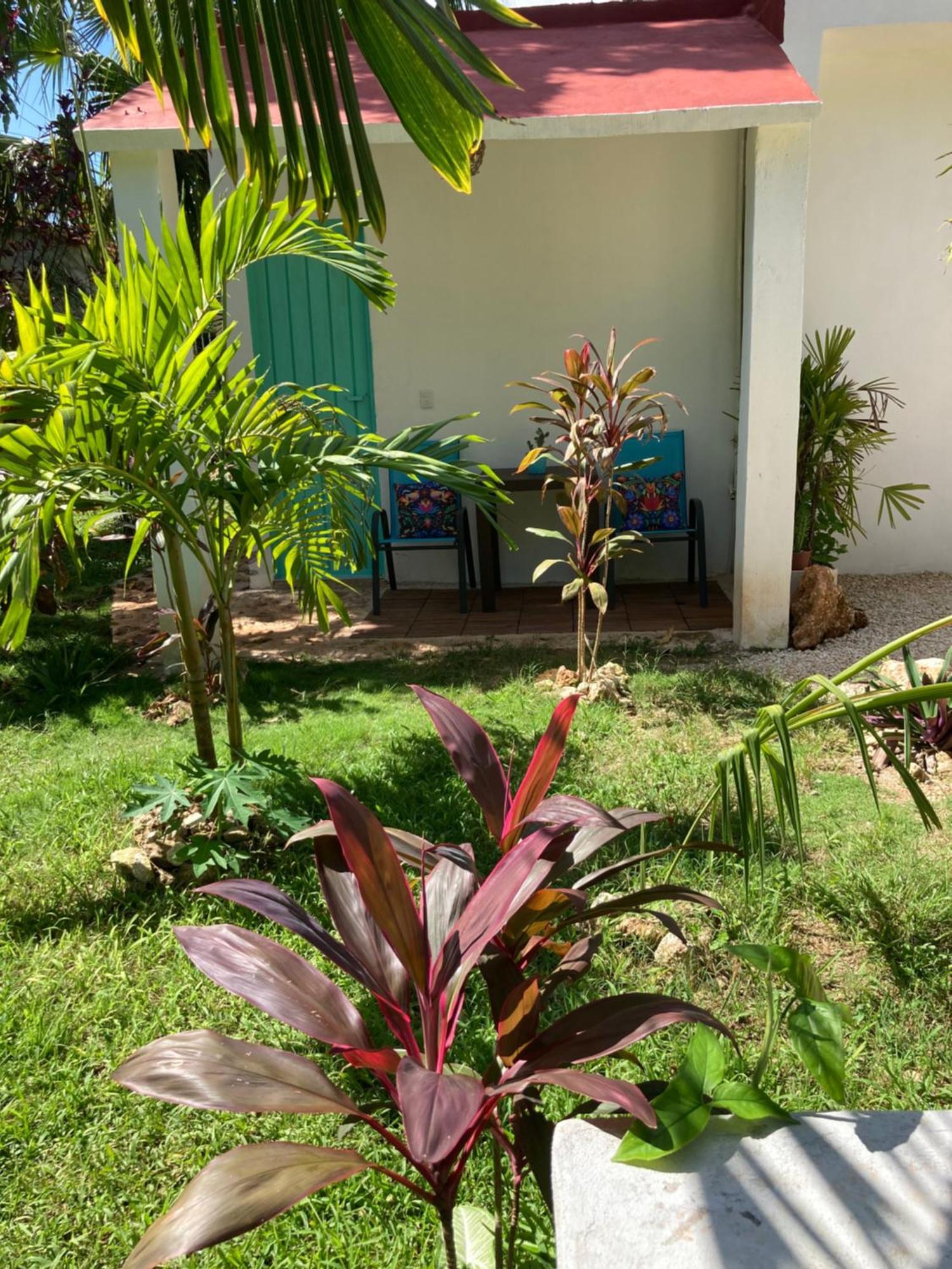 Green Paradise Leona Vicario Luaran gambar